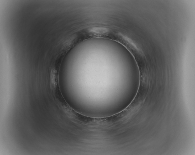 X0000113861346200909241259