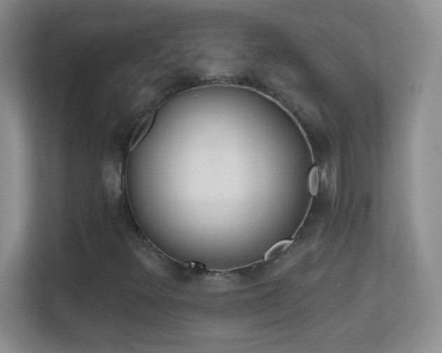 X0000113861348200909241259