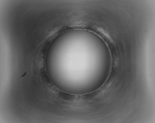 X0000113861350200909241259