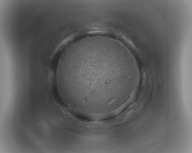 X0000113861351200909241259