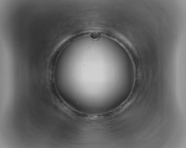 X0000113861352200909241259