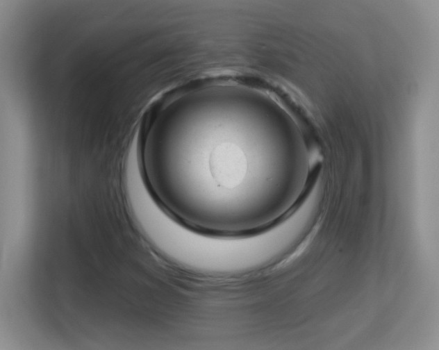 X0000113861353200909241259