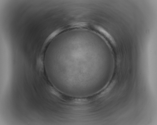 X0000113861354200909241259