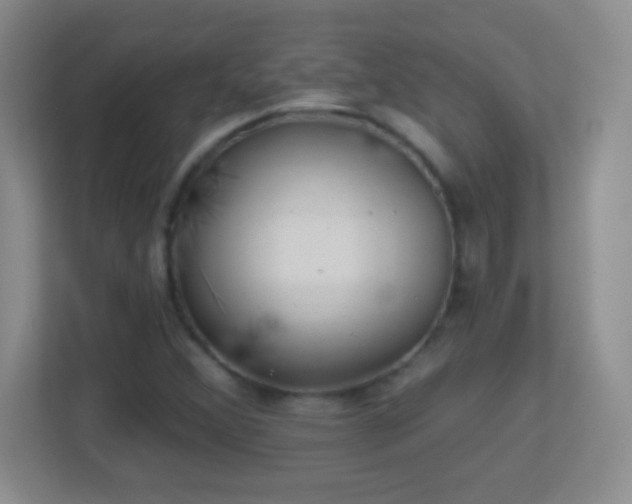 X0000113861356200909241259