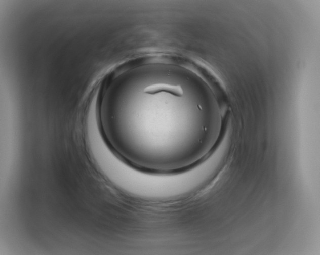 X0000113861357200909241259