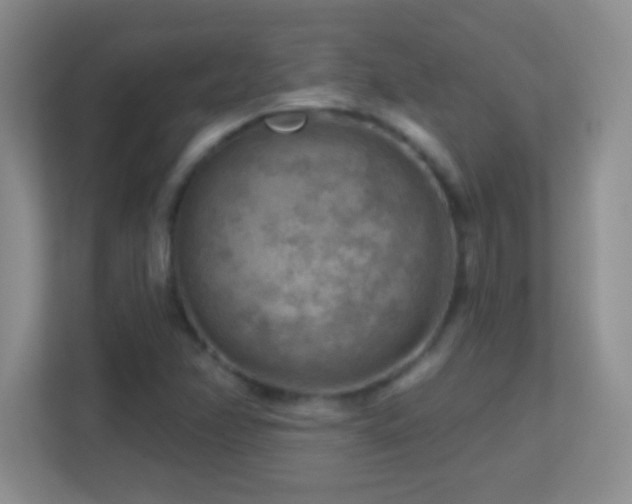 X0000113861358200909241259