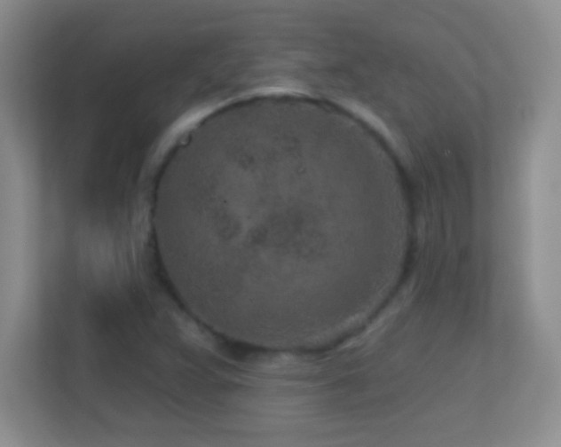 X0000113861359200909241259