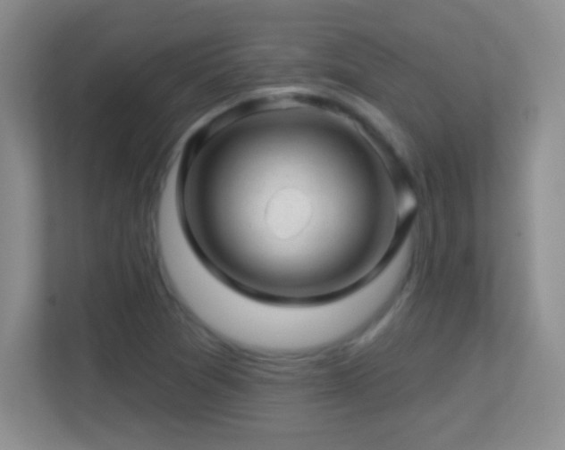 X0000113861361200909241259