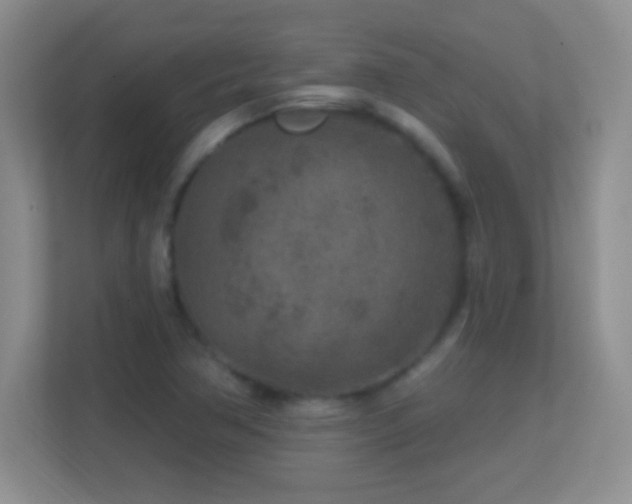 X0000113861362200909241259