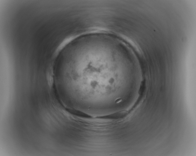 X0000113861363200909241259