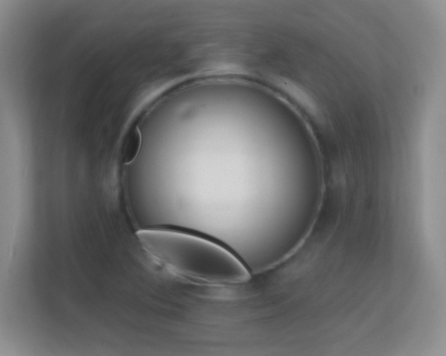 X0000113861364200909241259
