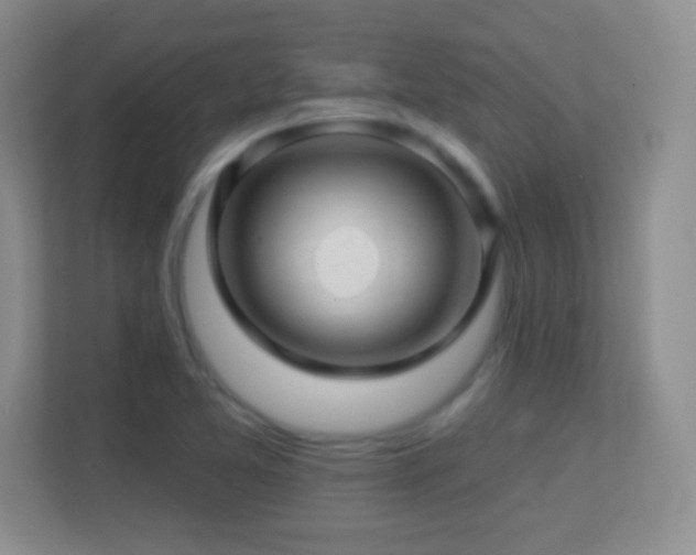 X0000113861365200909241259