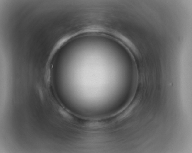 X0000113861366200909241259