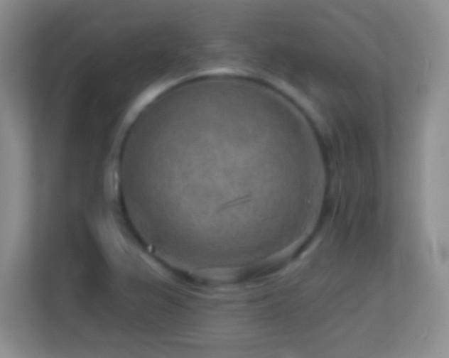 X0000113861367200909241259
