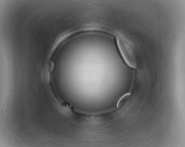 X0000113861368200909241259