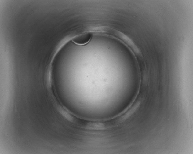 X0000113861370200909241259