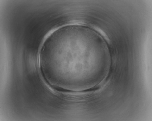 X0000113861371200909241259
