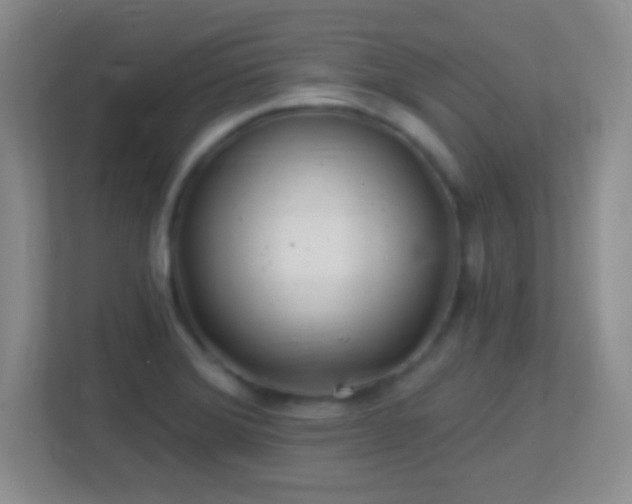 X0000113861372200909241259