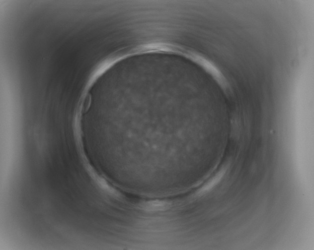 X0000113861373200909241259