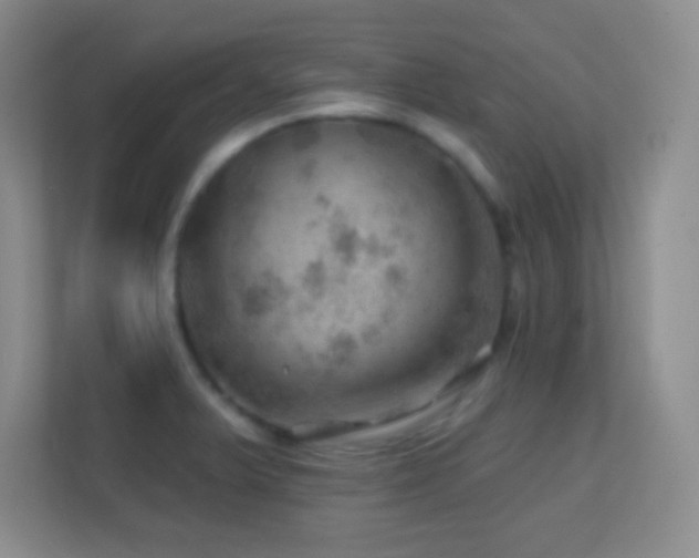 X0000113861375200909241259