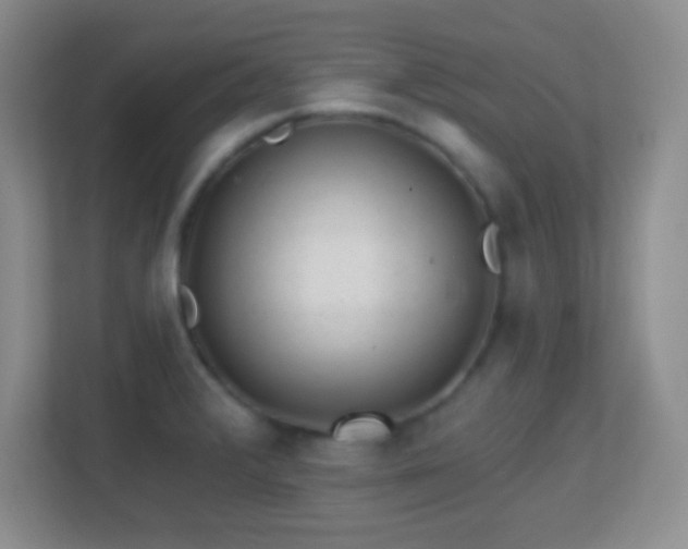 X0000113861376200909241259