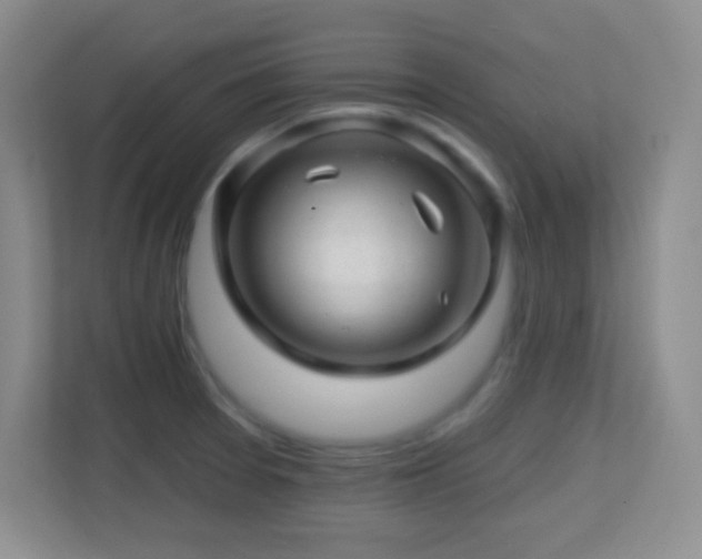 X0000113861377200909241259