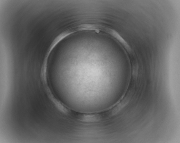 X0000113861378200909241259
