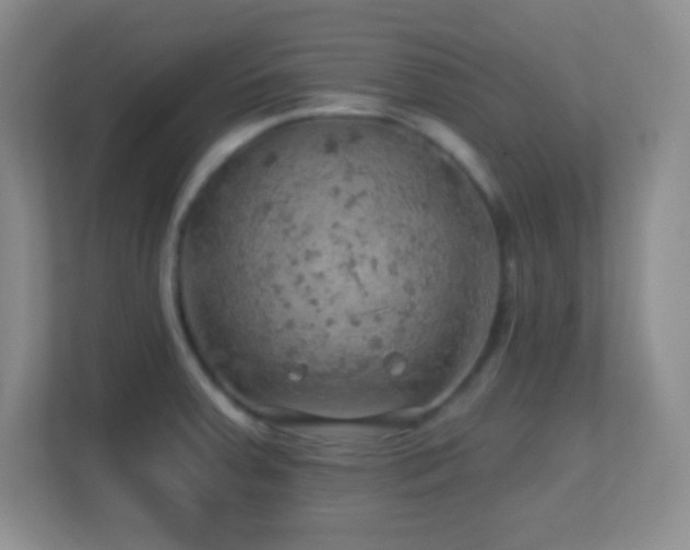 X0000113861379200909241259