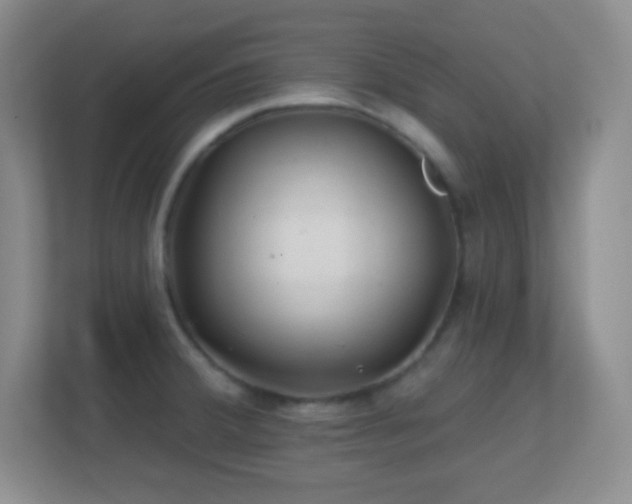 X0000113861380200909241259