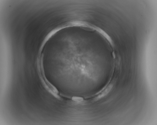 X0000113861381200909241259