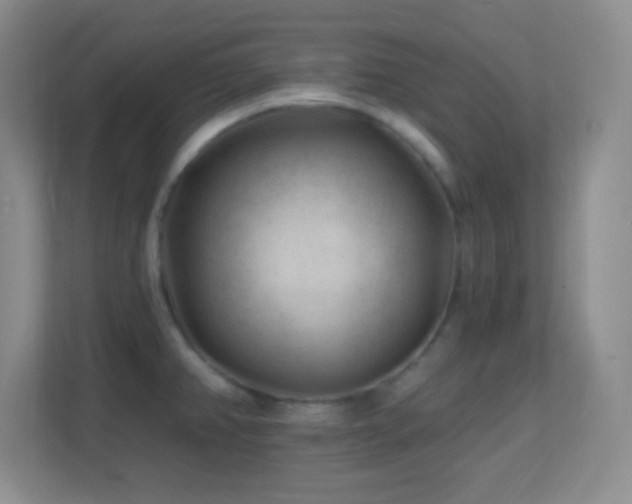 X0000113861382200909241259