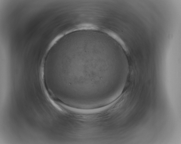 X0000113861383200909241259