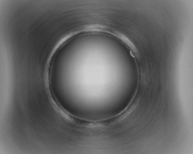 X0000113861384200909241259