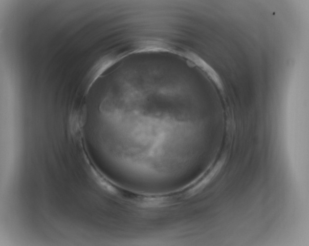 X0000113861385200909241259