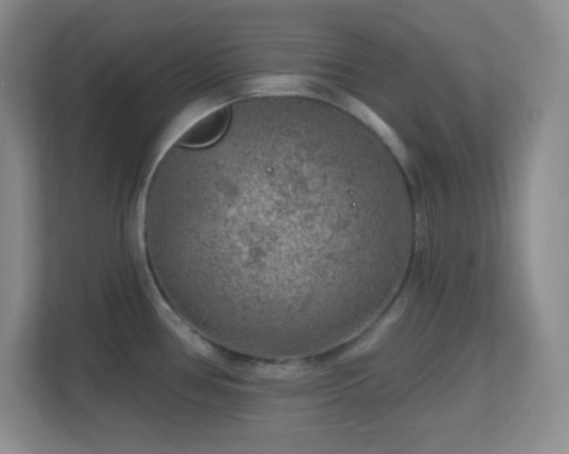 X0000113861386200909241259