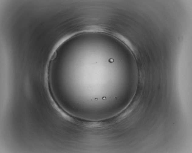 X0000113861387200909241259