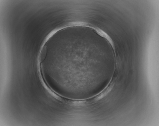 X0000113861389200909241259