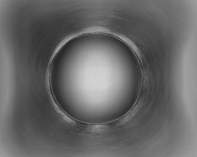 X0000113861390200909241259
