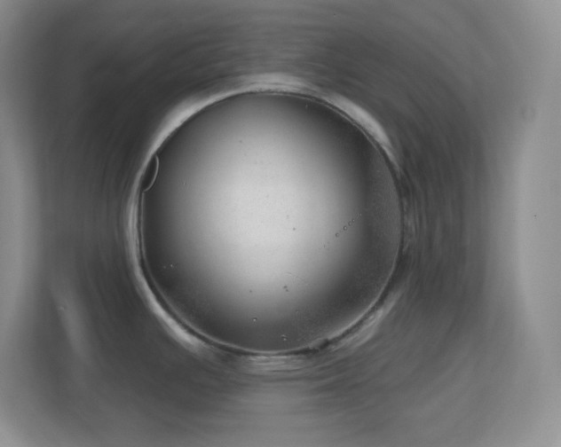 X0000113861391200909241259