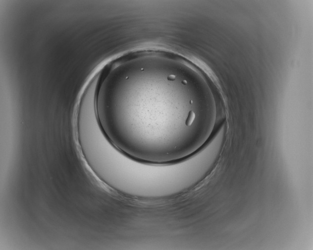 X0000113861392200909241259