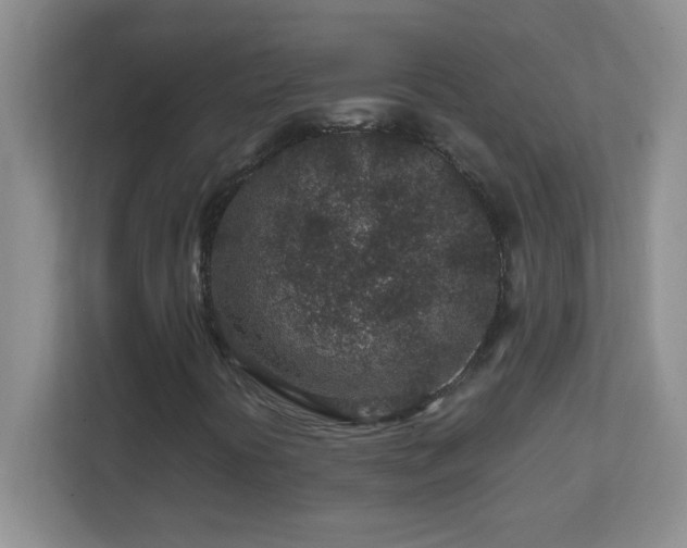 X0000113861394200909241258