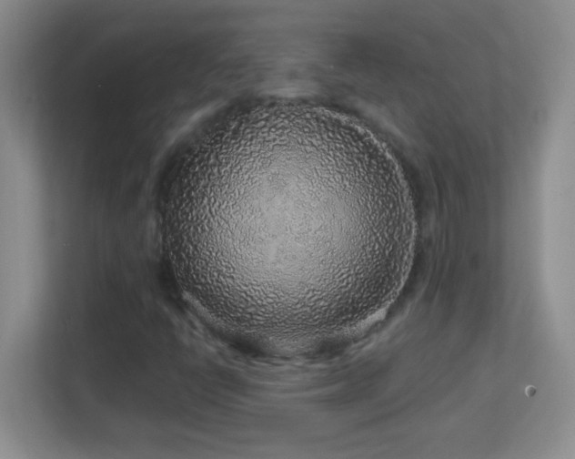 X0000113861398200909241258