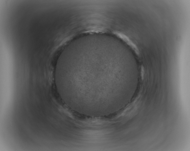 X0000113861399200909241258