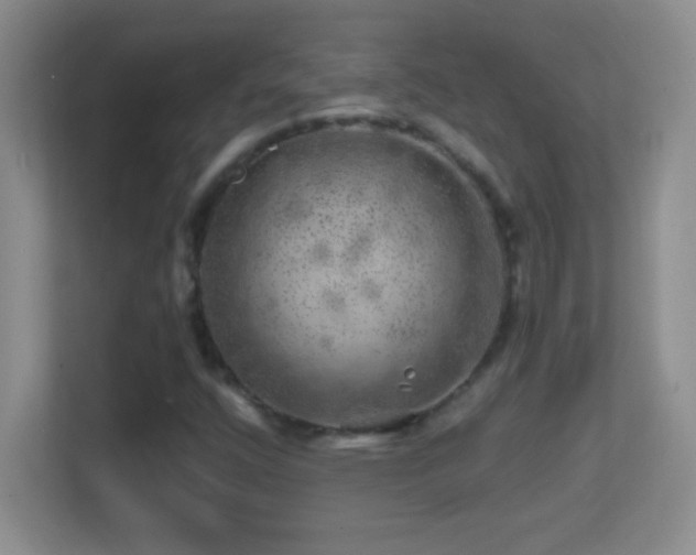 X0000113861400200909241258