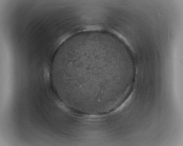 X0000113861401200909241258