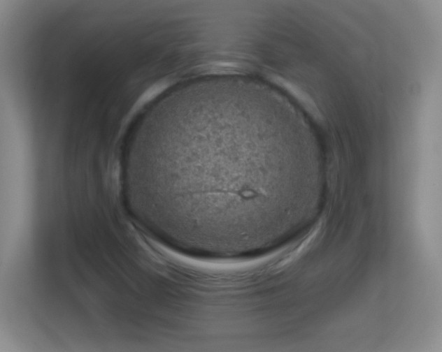 X0000113861402200909241258