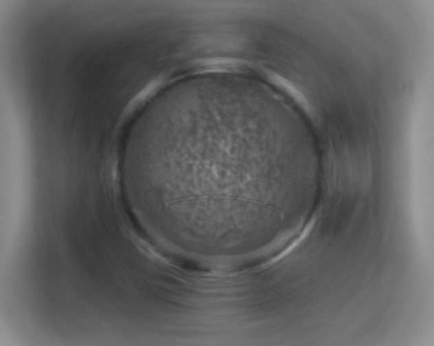 X0000113861403200909241258