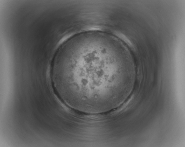 X0000113861404200909241258