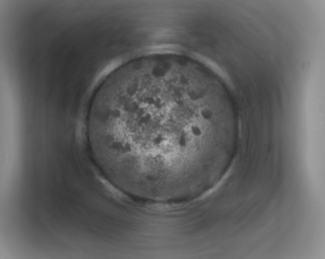 X0000113861405200909241258