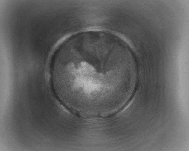 X0000113861406200909241258